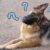 Profile photo of CloudiusWhite