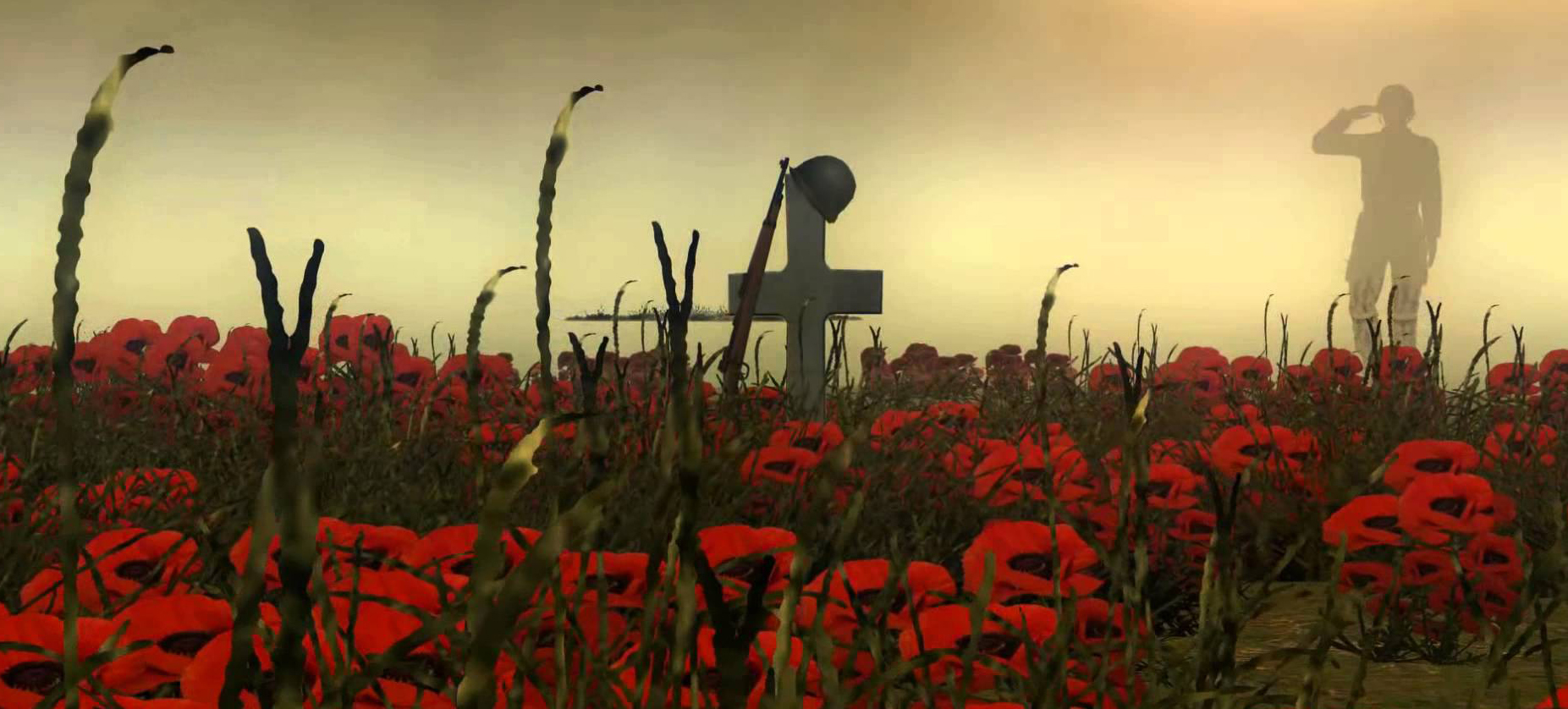 Lest we forget :  Remembrance day!