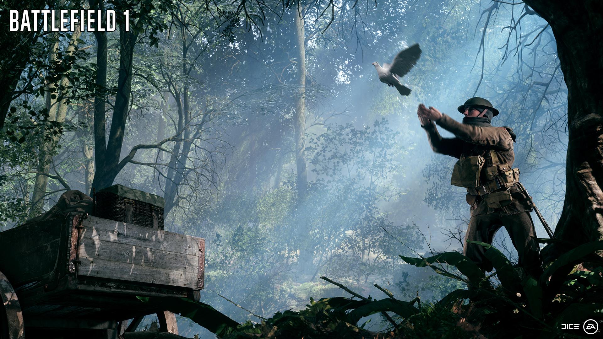 ALL MAPS AND MODES CONFIRMED FOR BF1
