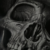 Profile photo of Napalm