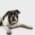 Profile photo of Bucmandk