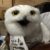 Profile photo of Crit, Barkiza, Kiza
