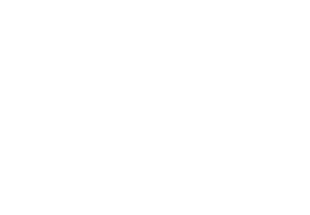 ARMA REFORGER