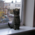 Profile photo of SimplyFluffy