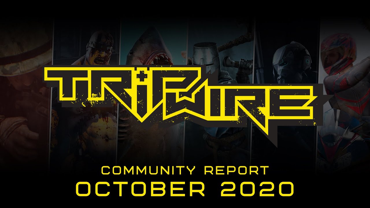 TRIPWIRE COMMUNITY REPORT
