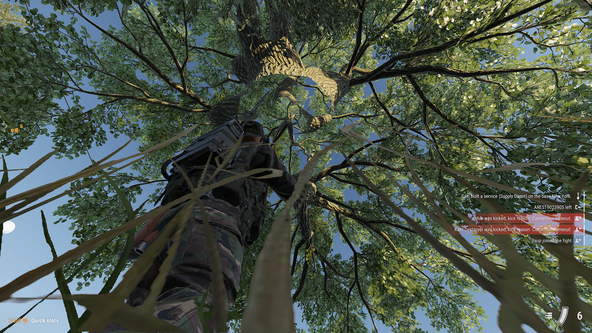 More Tree