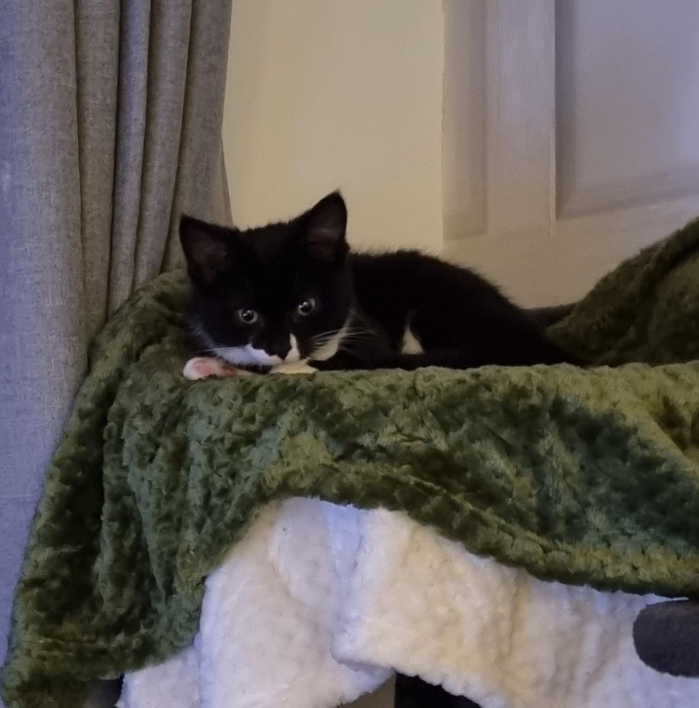 Jinx