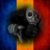 Profile photo of SickSmugler / SoparlicaFtw