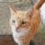 Profile photo of Kevin